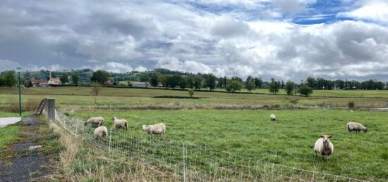 Terrain à bâtir à Naucelles, Auvergne-Rhône-Alpes