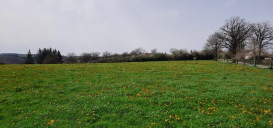 Terrain à bâtir à Roannes-Saint-Mary, Auvergne-Rhône-Alpes