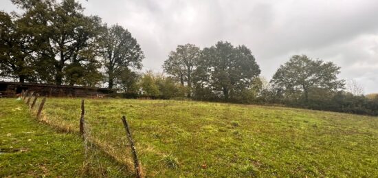 Terrain à bâtir à Sansac-de-Marmiesse, Auvergne-Rhône-Alpes