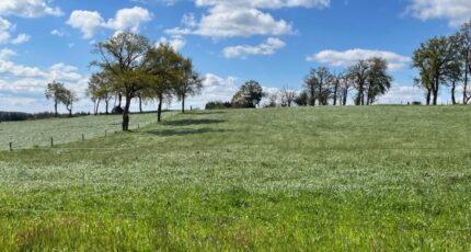 Marcolès Terrain à bâtir - 2046274-3828annonce420250110vwB07.jpeg Maisons Partout